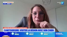 Canitourisme Normandie recense les lieux qu'il est possible de visiter avec son chien