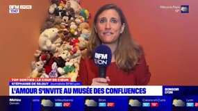 Top sorties Lyon: un "mur à doudous" installé au musée des Confluences 