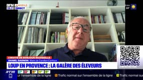 Provence: cinq attaques dont une non déclarée à Cornillon-Confoux depuis cet été