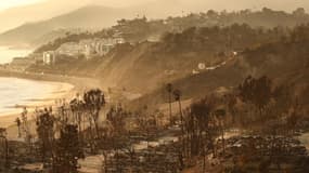 Des maisons détruites par le feu de Palisades à Los Angeles, le 10 janvier 2025