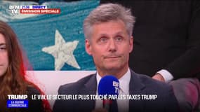 "Il y a un grand sentiment d'inquiétude sur ce qui peut se passer": Gabriel Picard, président de la Fédération des exportateurs de vins et spiritueux de France, réagit aux annonces de Donald Trump