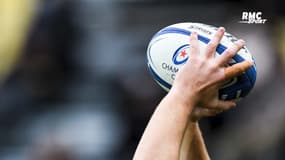 Champions Cup : "Il vaut mieux arrêter tout de suite" lance Moscato