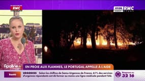 Le Portugal en proie aux flammes 