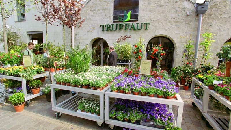 Illustration - Le spécialiste en jardinerie Truffaut 