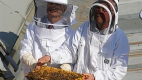 Trois essaims d'abeilles ont pris jeudi leurs quartiers d'été, en présence du président de l'Assemblée, Claude Bartolone (à gauche), dans trois ruches installées sur les toits de l'Assemblée nationale, rebaptisée pour l'occasion "Palais Bourdon". /Photo p