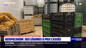 Bas-Rhin: des fruits et légumes à prix cassés à Geispolsheim