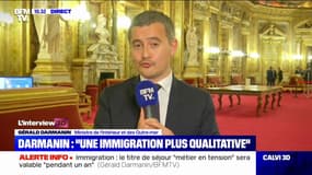 Gérald Darmanin propose de passer de "12 à 4 catégories de recours" pour les personnes visées par une décision d'expulsion