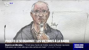 Procès Le Scouarnec: les victimes se succèdent à la barre