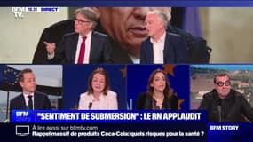Story 4 : "Sentiment de submersion", le RN rit et le PS pleure - 28/01