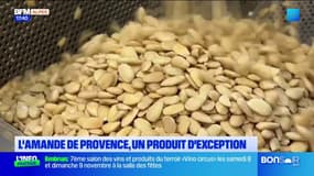 L'amande de Provence, un produit d'exception