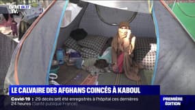 Ces Afghans avaient fui les talibans en province, ils se retrouvent maintenant coincés à Kaboul