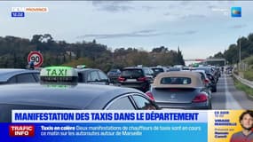 Bouches-du-Rhône: manifestation des taxis dans le département
