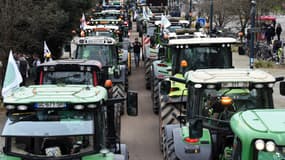 Des tracteurs stationnés à Rennes pendant la mobilisation des agriculteurs, le 1er février 2024