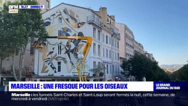 Congrès mondial de la nature: une fresque pour les oiseaux