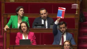 Le député RN Jean-Philippe Tanguy brandit le règlement de l'Assemblée nationale dans l'hémicycle