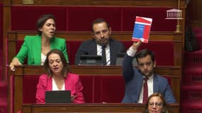 Le député RN Jean-Philippe Tanguy brandit le règlement de l'Assemblée nationale dans l'hémicycle