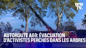 TANGUY DE BFM - Autoroute A69: les forces de l’ordre procèdent à l’évacuation d’activistes perchés dans les arbres entre Castres et Toulouse 