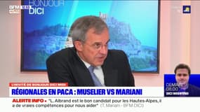 Thierry Mariani affirme que les deux départements des Alpes du Sud ont été "les moins bien dotés"