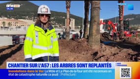 Chantier sur l'A57: les arbres sont replantés