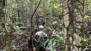 Des secouristes colombiens, alors à la recherche des quatre enfants depuis retrouvés dans la jungle amazonienne.