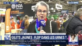 Européennes: la gilet jaune Jacline Mouraud affirme que "c'est très compliqué de se lancer en politique quand on vient de la base"