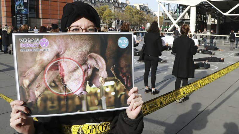 Une militante de la cause animale lors d'une manifestation à Paris, en novembre 2017.