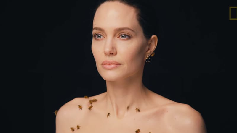Angelina Jolie lors du photoshoot de "National Geographic"