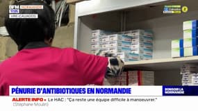 Normandie: des pénuries de médicaments, dont des antibiotiques, dans les pharmacies