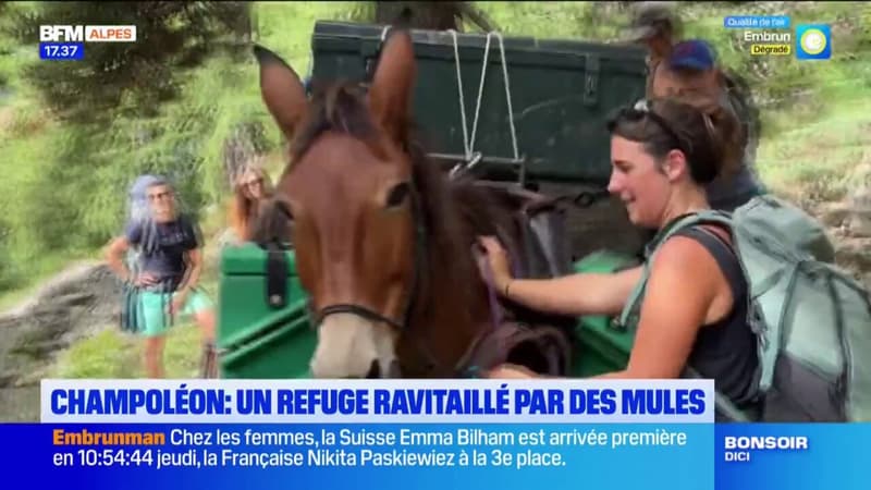 Champoléon: exit l'hélicoptère, un refuge ravitaillé par des mules