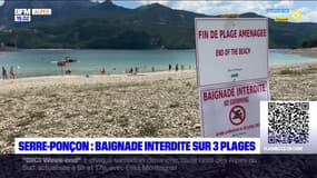 Serre-Ponçon: baignade interdite sur trois plages du lac