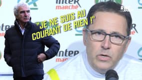 Nantes : Domenech remercié ? Collot n'est "au courant de rien"
