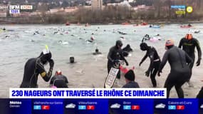 Traversée de Lyon à la nage : 230 nageurs ont sauté à l'eau