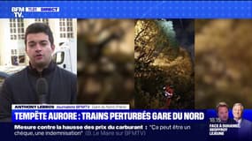 Transilien, RER, TER... Le trafic ferroviaire en direction du Nord perturbé par la tempête Aurore