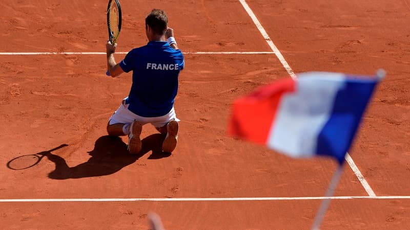 Les Bleus veulent brandir le Saladier d'argent.