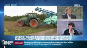 Un million d'espèces menacées d'extinction: "À cause du dérèglement climatique et de la destruction de l'environnement, on va s'entretuer"