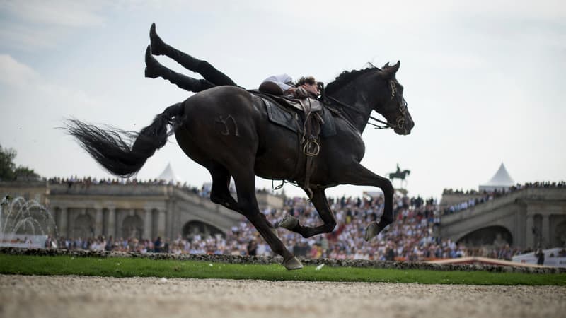 Une démonstration au château de Chantilly (photo d'illustration)