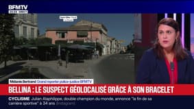 INFO BFMTV. Mort de l'influenceuse Sonia Bellina: le suspect a été géolocalisé sur la scène de crime grâce à son bracelet anti-rapprochement