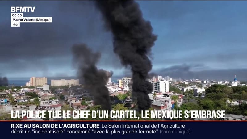 Le Mexique en proie à des violences après la mort d'El Mencho, chef de l'un des plus gros cartels, abattu par l'armée