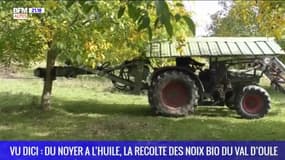 VU DICI : Du noyer à l'huile, la récolte des noix bio du Val d'Oule