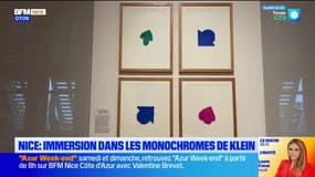 Nice: immersion dans les monochromes d'Yves-Klein