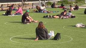 Des cercles tracés au sol dans un parc de New York pour faire respecter la distanciation