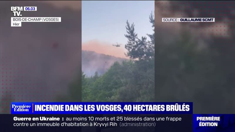 Un incendie dans les Vosges ravage près de 40 hectares à Bois-le-Champ