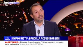 Procès des emplois fictifs du RN: "On est très sereins", affirme Sébastien Chenu
