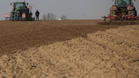 A Cambrai, dans le Nord. Les négociateurs de l'Union européenne ont annoncé mercredi être parvenus à un accord sur une réforme de la Politique agricole commune (Pac) pour la période 2014-2020. L'accord de principe prévoit une modification de la répartitio