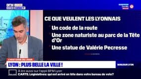 Lyon: les propositions des habitants pour améliorer la ville