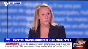 Marion Maréchal propose la mise en place d'une "présomption irréfragable de légitime défense au domicile, [...] même si cela entraîne la mort"