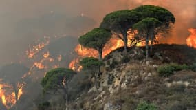Incendie à Messine, en Sicile, le 10 juillet 2017