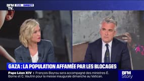 Story 2 : Y a-t-il un risque de "famine de masse" à Gaza ? - 16/05