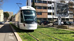 Le traway de la ville d'Avignon