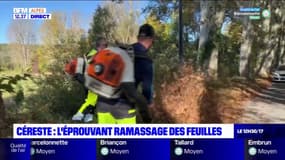 Céreste: l'éprouvant ramassage des feuilles d'automne